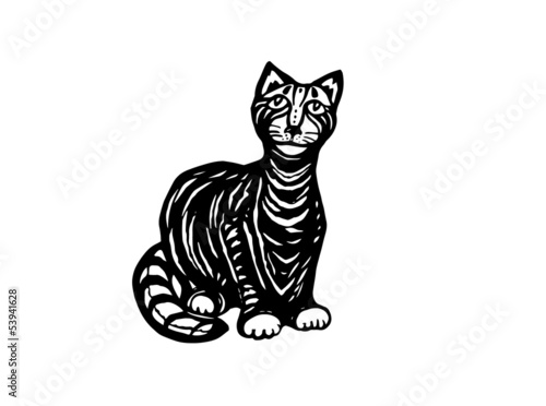 curious cat