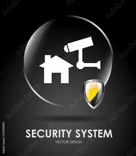 security system