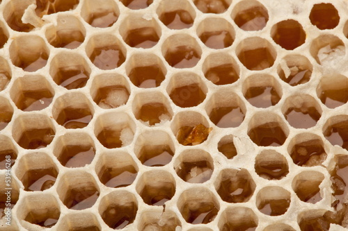 Honeycombs.