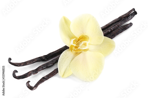 Vanilla sticks with a flower.
