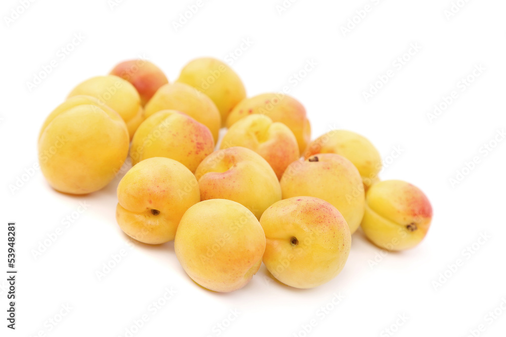 lot of fresh apricots isolated lot of fresh apricots isolated