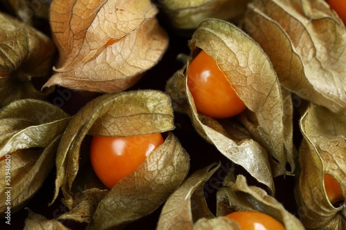 Close-up of physalis fruit