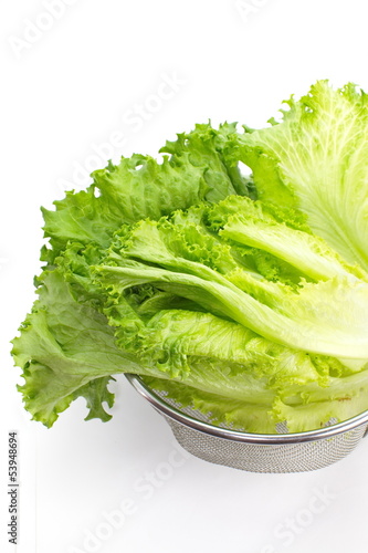 Fresh green lettuce isolated on a white