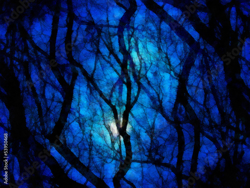 Night landscape