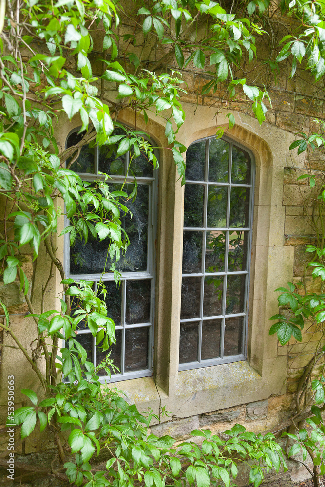 Stone window with climbing plants Stone window with climbing plants