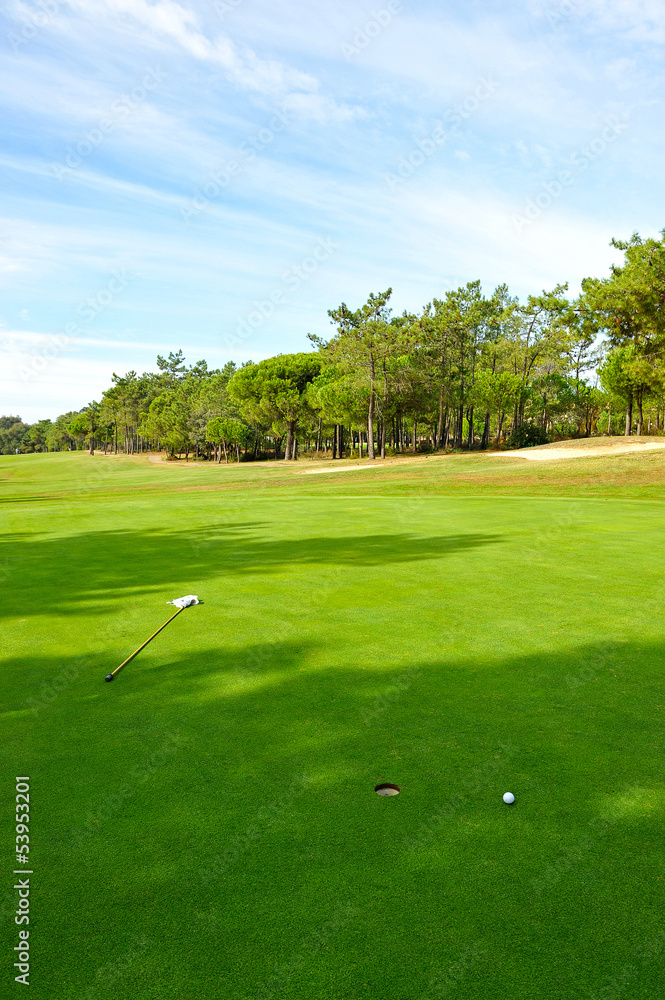 Obraz premium Golf course, green