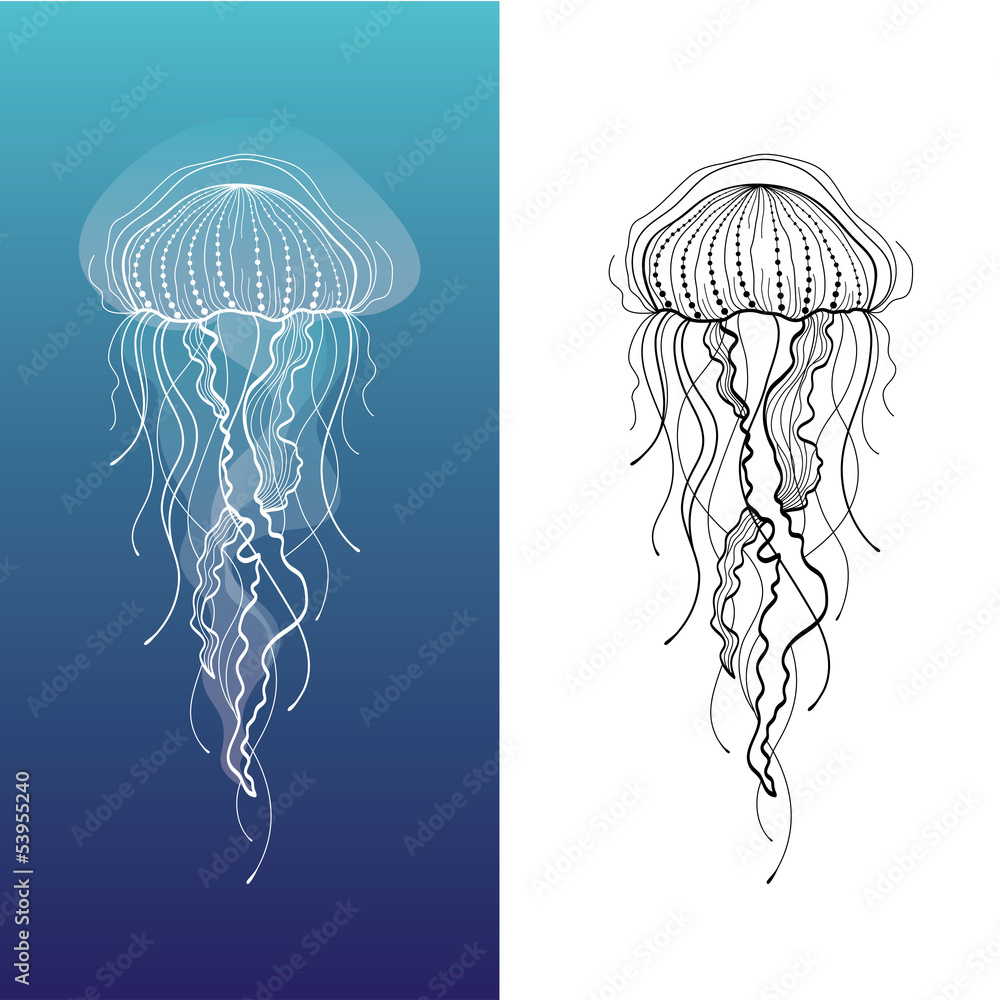 Fototapeta premium Jellyfish1