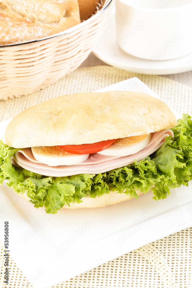 Obraz premium Delicious sandwich with ham