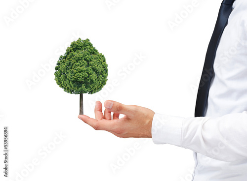 Hands holding green tree