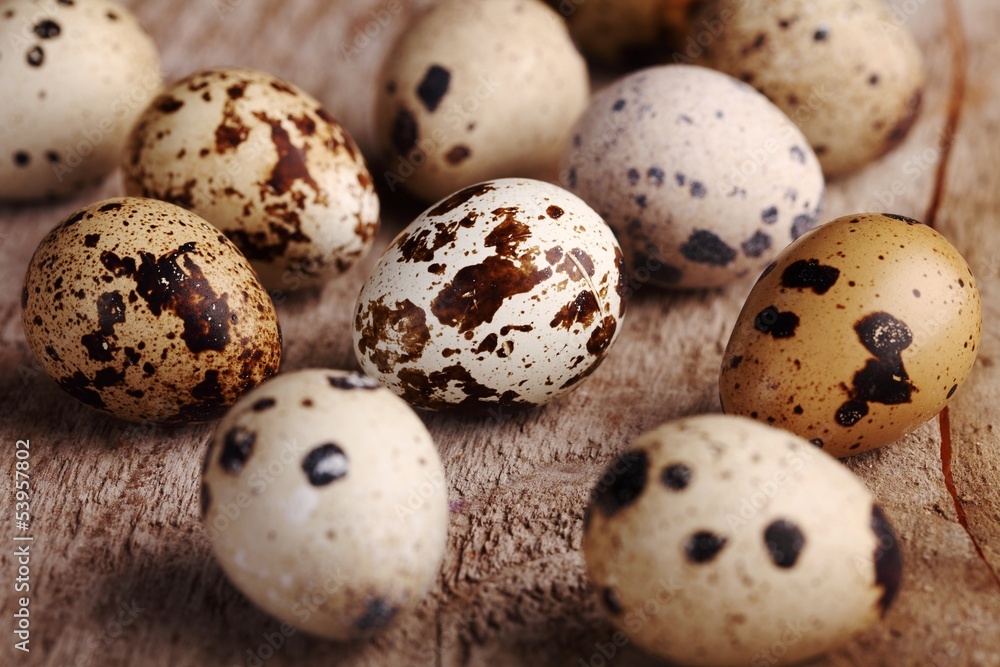 Close-up of quail eggs on wooden background. Close-up of quail eggs on wooden background.
