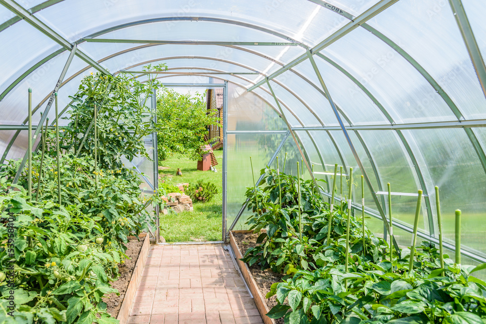 arched greenhouse arched greenhouse