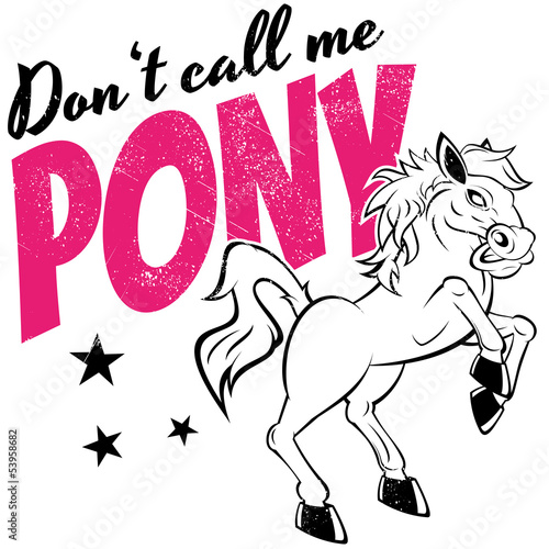 pony pferd