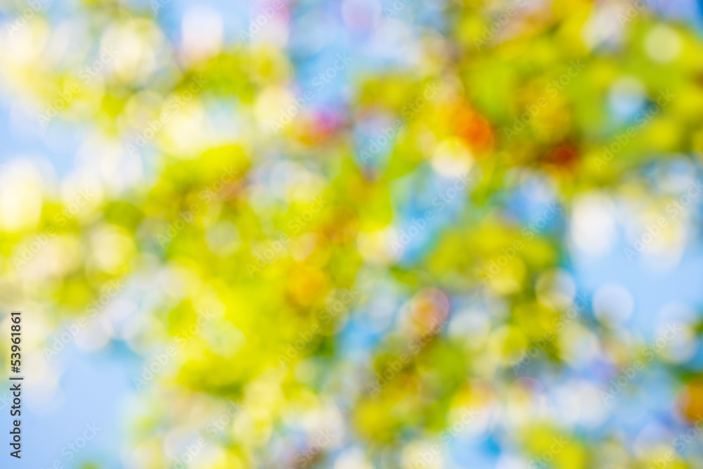 Obraz premium spring bokeh green color, background