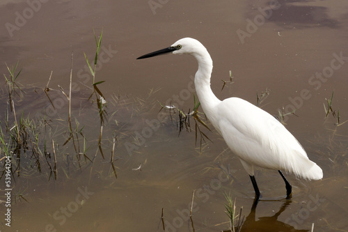 National Parc Albufera
