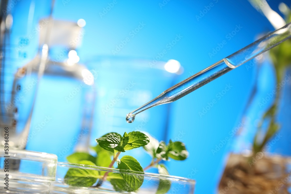 sprouts on test tube sprouts on test tube