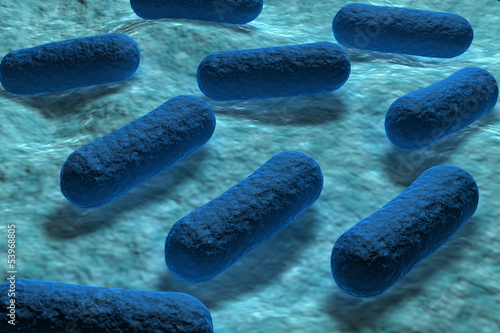 Cuadro en lienzo E coli Bacteria.