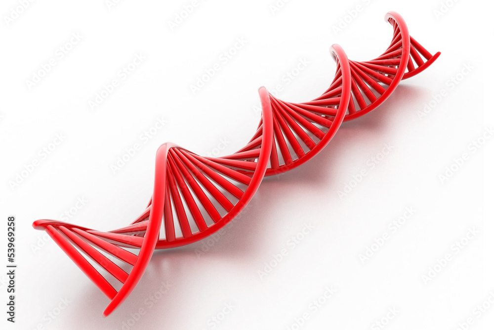 Obraz premium Dna stands.