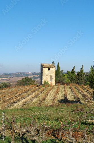 paysage provençal - buisson