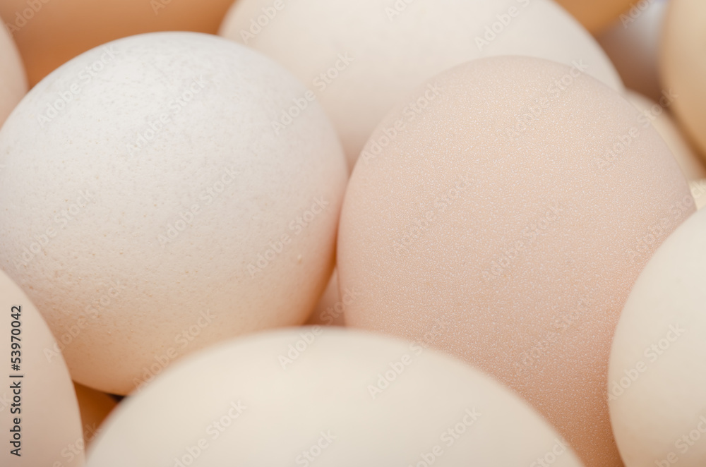 Chicken Eggs Close Up Chicken Eggs Close Up