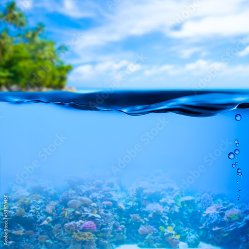 underwater tropical sea with water surface background