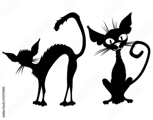 Black cats.