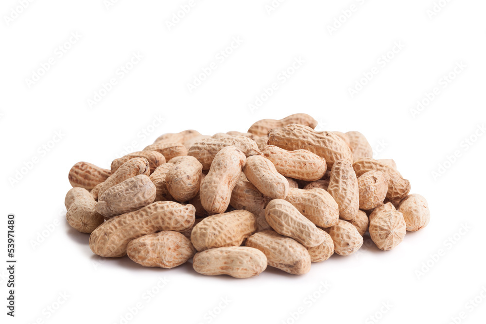 Peanut Peanut