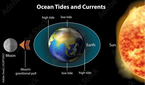 Tidal movements on Earth