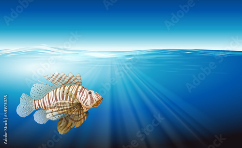 A lionfish