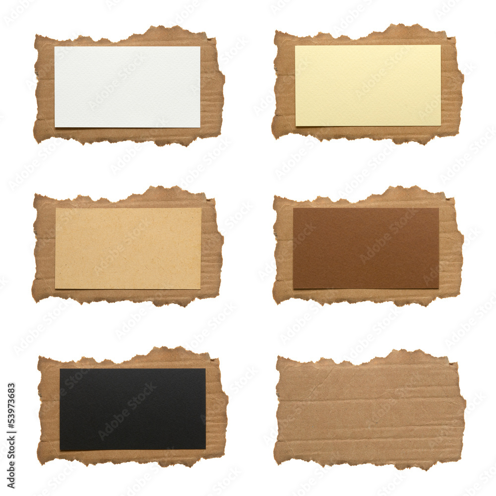Collection of various ripped piece of cardboard on white
