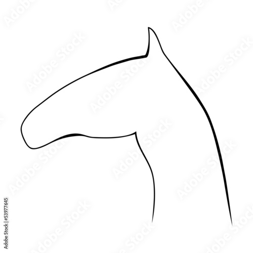 silhouette of a horse. vector