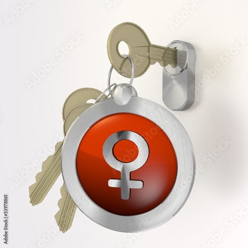 Fototapeta Naklejka Na Ścianę i Meble -  3d render of a female woman symbol  on a key