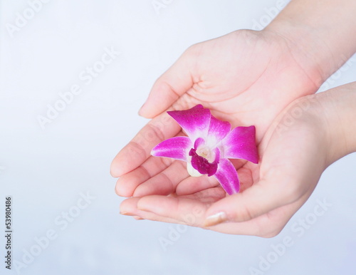 Young woman's hands and orchid flower