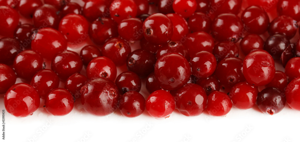 Ripe red cranberries, isolated on white. Ripe red cranberries, isolated on white.