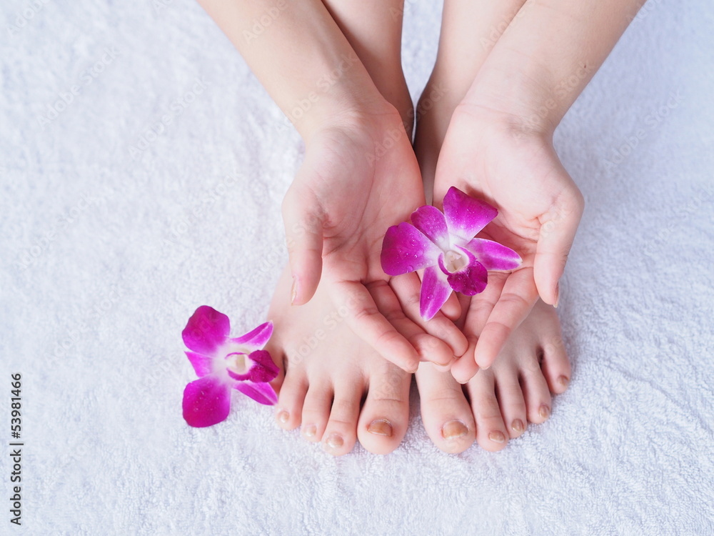 Young woman's hands, feet and orchid flower Young woman's hands, feet and orchid flower