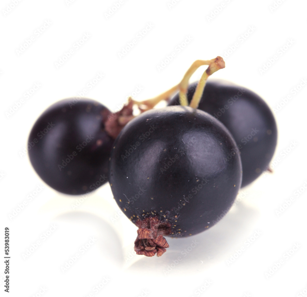 Fresh black currant isolated on white Fresh black currant isolated on white