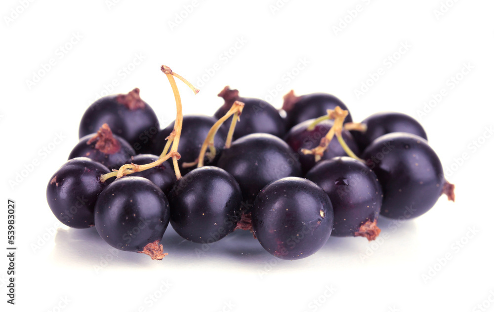 Fresh black currant isolated on white Fresh black currant isolated on white