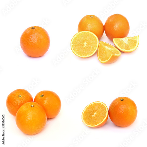 Set of oranges on white background
