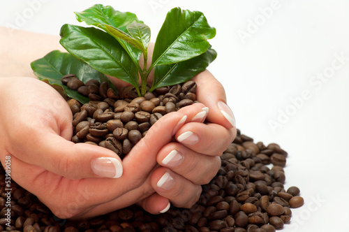 Konstfotografi kaffee in unseren händen