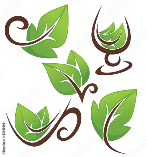 vector collection of natural drinks and fresh green leaves