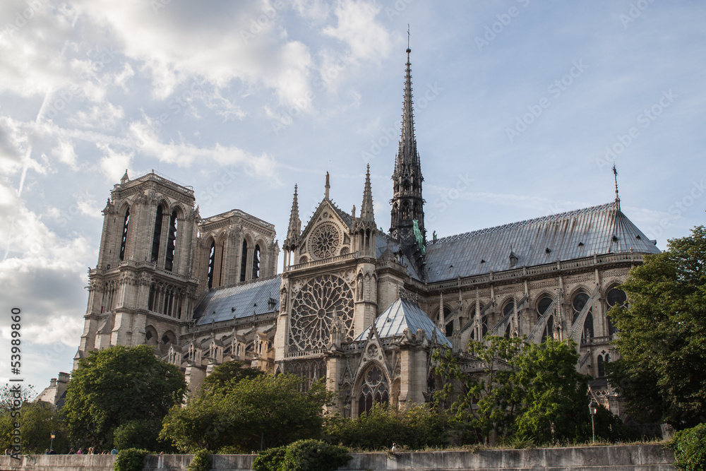 Obraz premium Notre Dame de Paris vue de la Seine