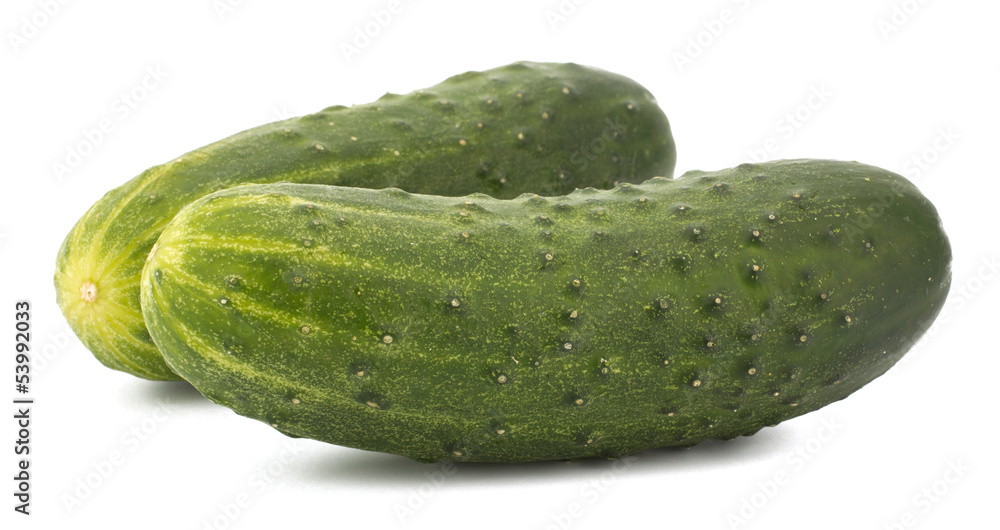 cucumber isolated on white background cucumber isolated on white background