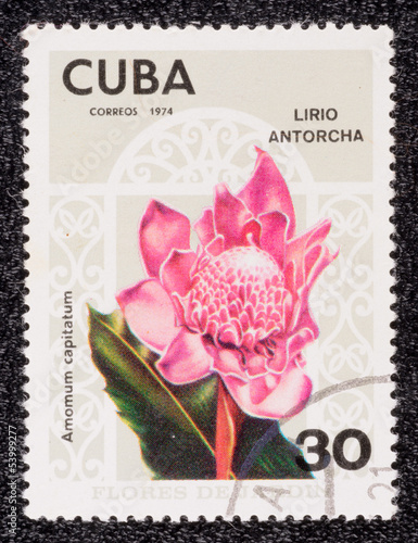 Photography Postage stamp