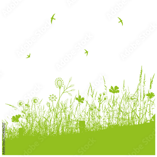Silhouette, Frühling, Blumenwiese, Schwalben