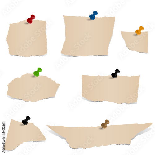 Sammlung - braune Papierfetzen mit Pin