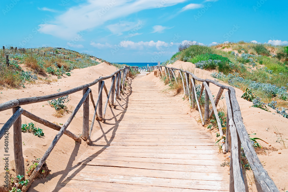 Obraz premium path to the sea