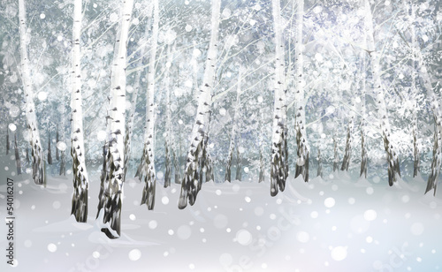 Vector of winter snowy birch forest.