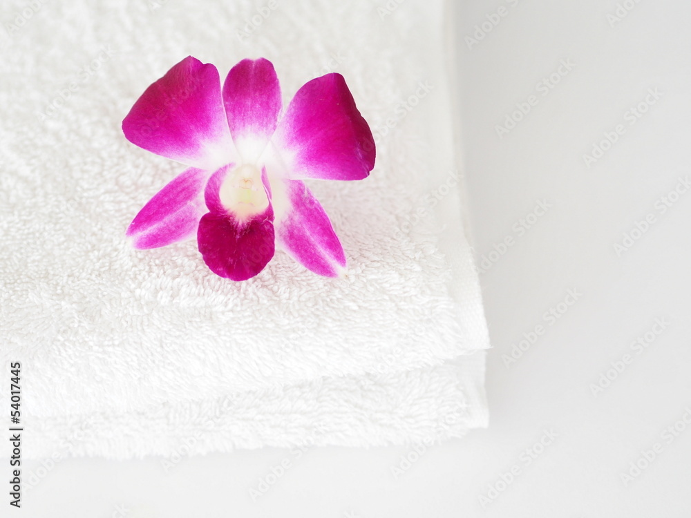 Orchid flower Orchid flower