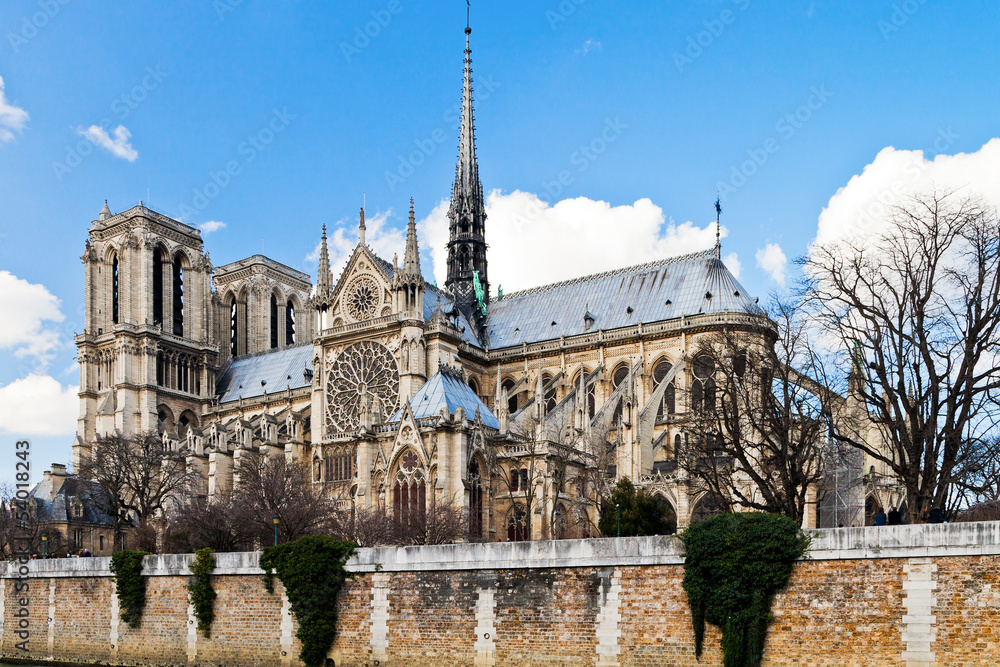 Obraz premium cathedral Notre-Dame de Paris and Seine river