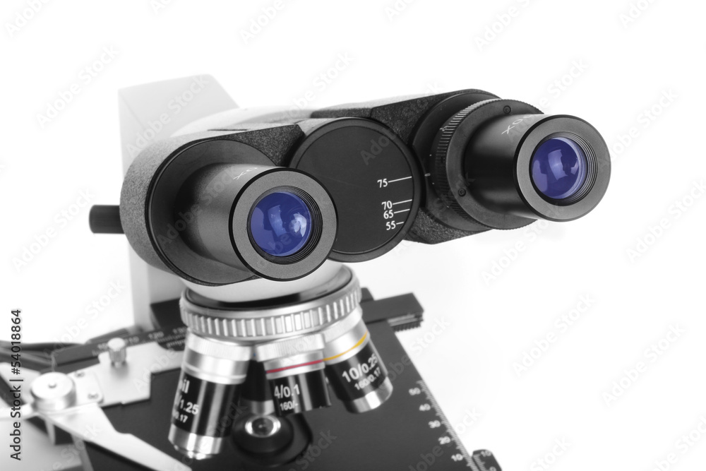 Ocular of microscope