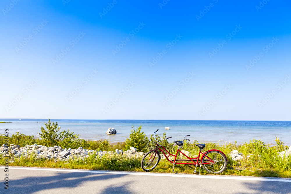 Fototapeta premium Red Tandem